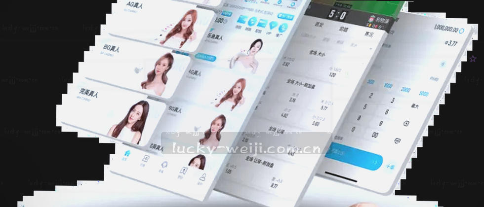 数据加密保护隐私安全
